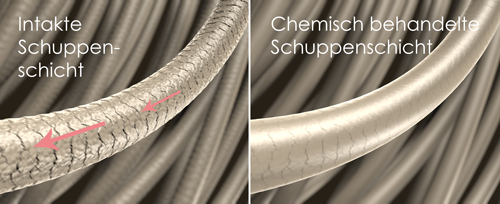 Intakte Schuppenschicht bei Haaren